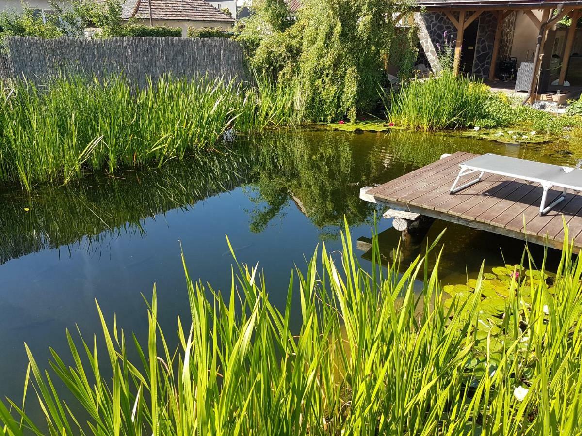 Topoľčany Walnut Apartment With Sauna And Pond מראה חיצוני תמונה